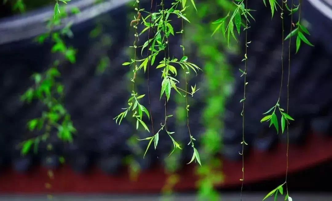 ����һ��Ҫ��ϸ΢֮������