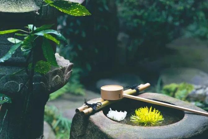 请问师父:如何充实我们的人生? 请问师父:如何充实我们的人生?