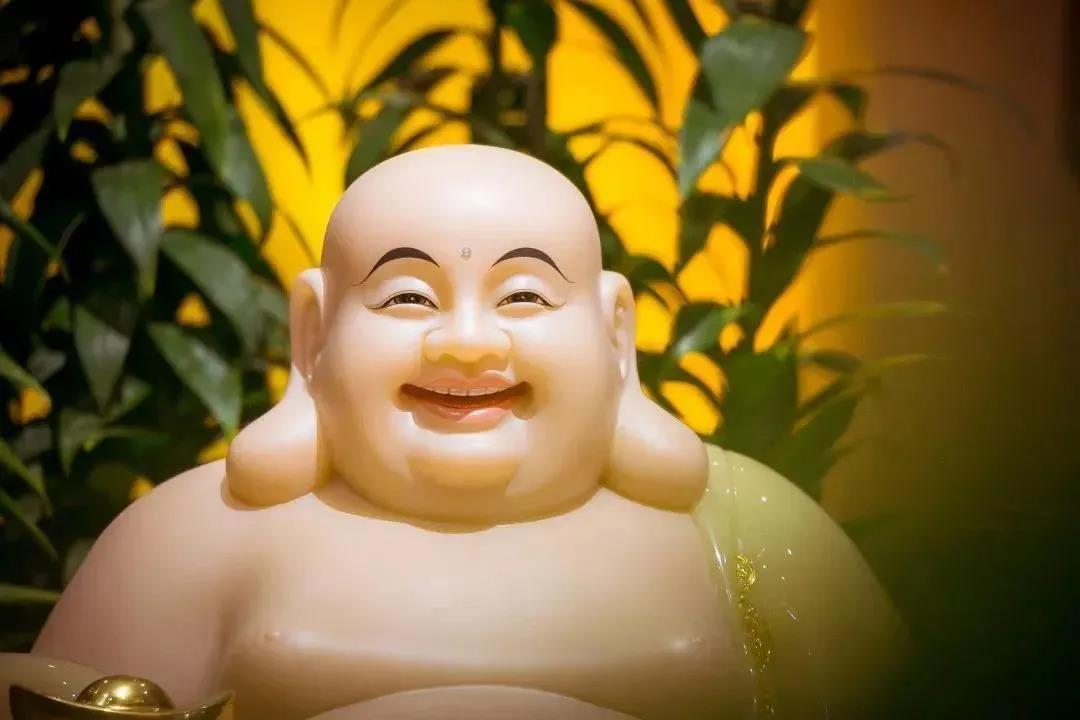 ѧ��·�ϵ�8���ǻ۽��ң�����һ��ϲ�ְ�����