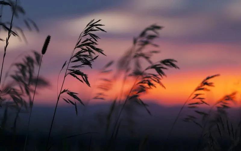 ѧ��·�ϵ�8���ǻ۽��ң�����һ��ϲ�ְ�����