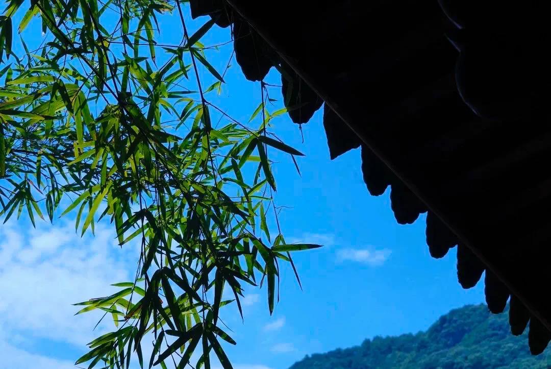 ѧ��·�ϵ�8���ǻ۽��ң�����һ��ϲ�ְ�����