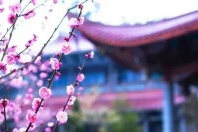 ѧ��·�ϵ�8���ǻ۽��ң�����һ��ϲ�ְ�����