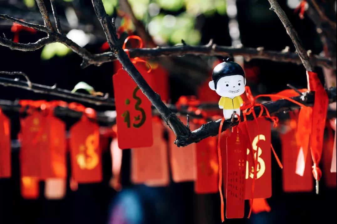 ѧ��·�ϵ�8���ǻ۽��ң�����һ��ϲ�ְ�����