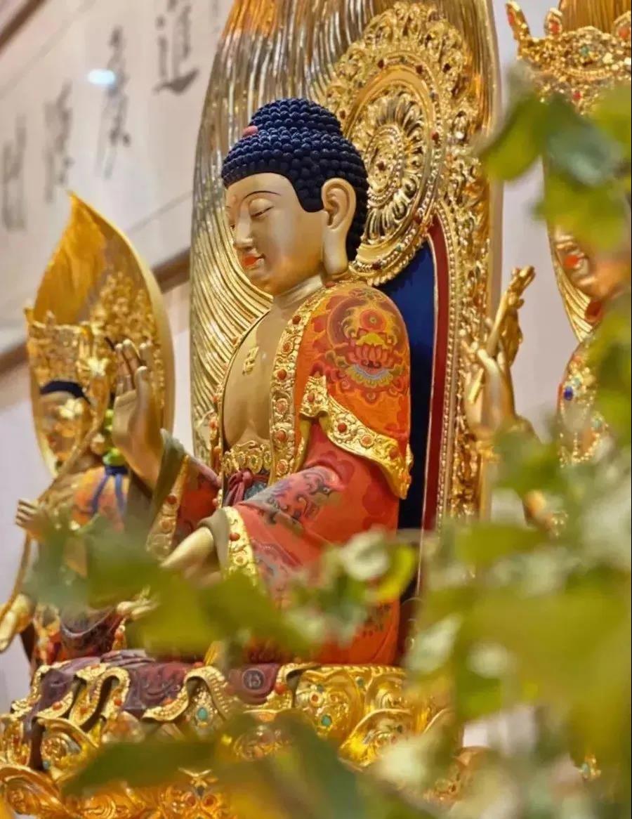 ����������Ч��ֻ��Ҫ���ѡ�����