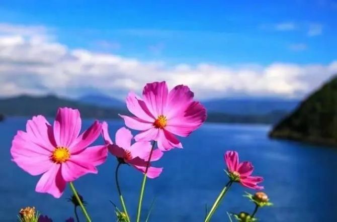 ʲô�Ƿ�Ե���ҷ�Ե��