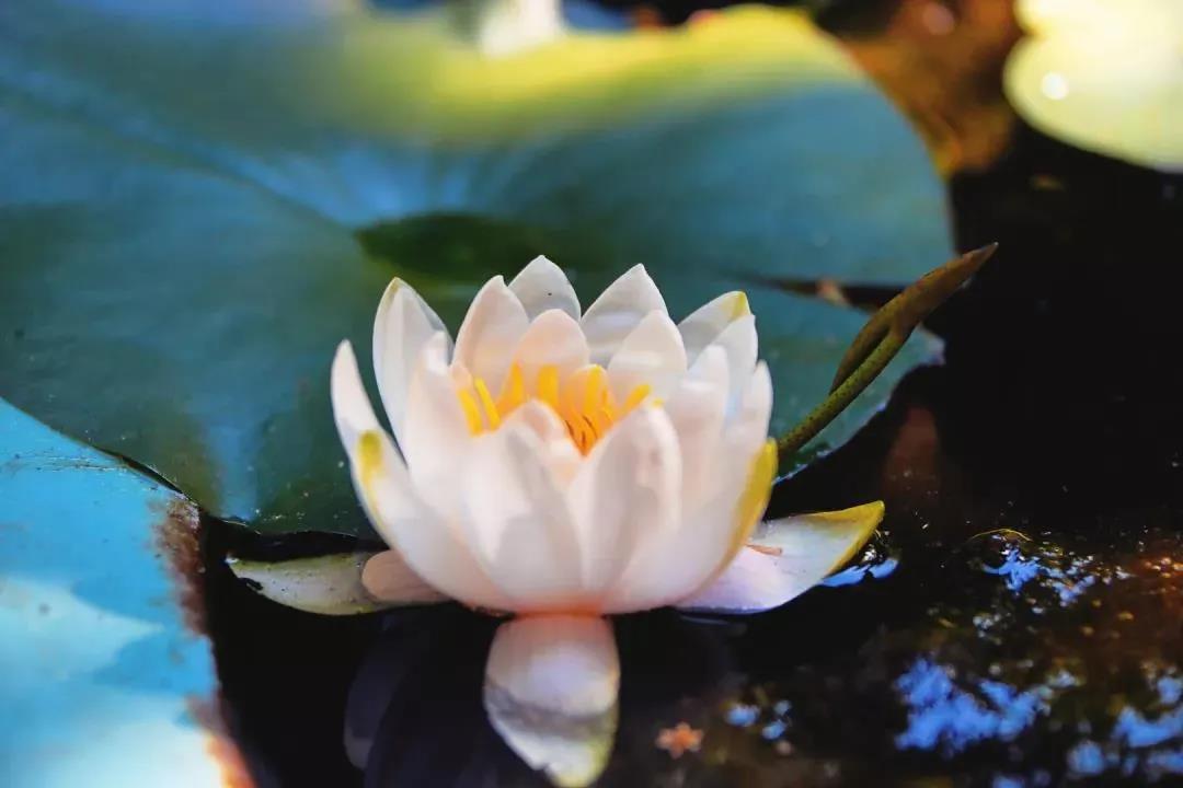 ���������������_��_·��_��