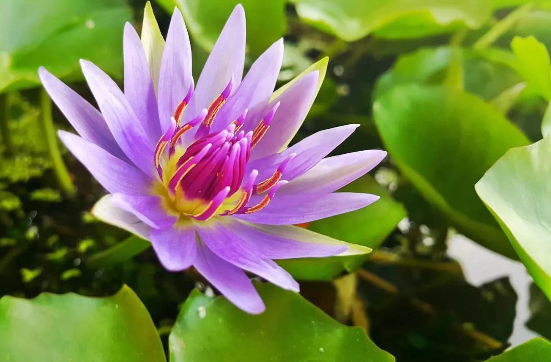 �ڵ¾������ƣ������˲�˵��10�ֻ�_​