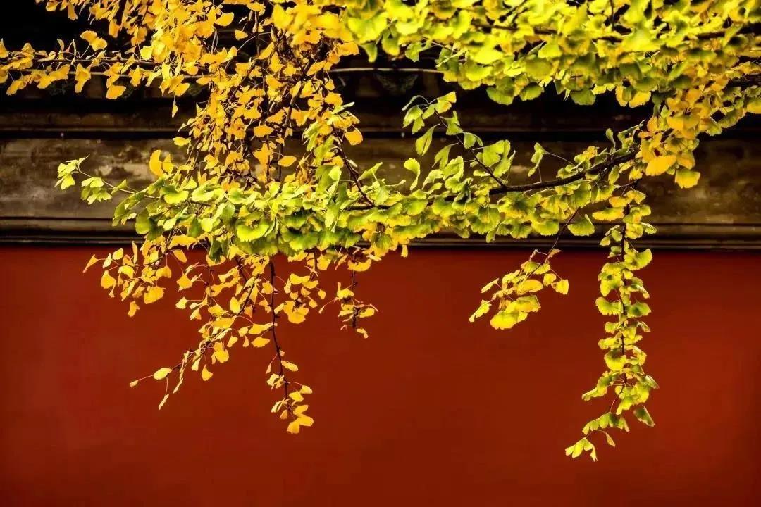 ��Ȼ�����׵��ˣ�Ϊ��Ҫ˵�������Ļ���