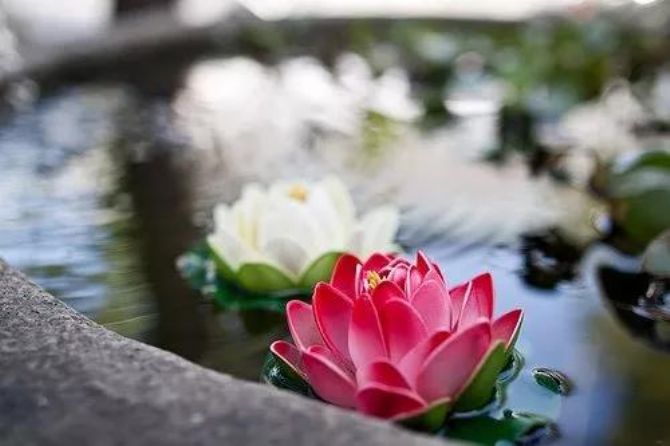 �Ȼ���ĸ��Ҫ���������