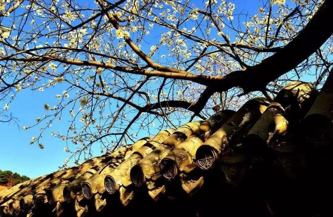 �������ˣ�����ϣ��������������ġ���