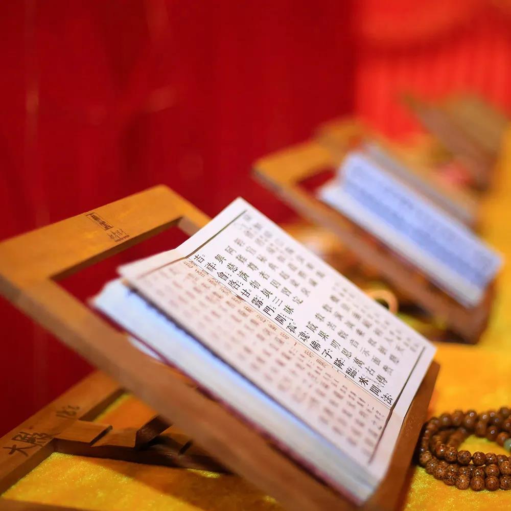 �������˳־�������ľ�����������