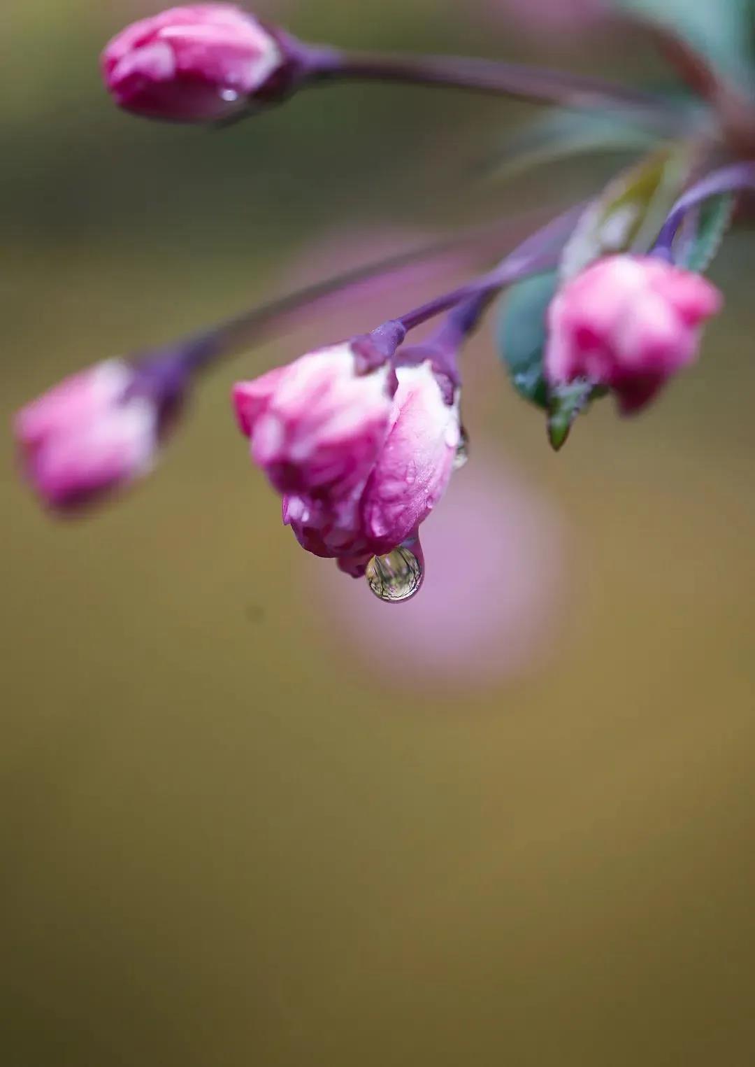 ʲô��������ܻ��߸��͵Ļ��ǲ������