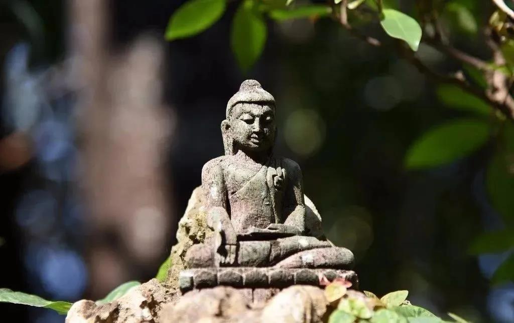 ��ƽʱ�ı��֣���֪�����Ƿ���������������