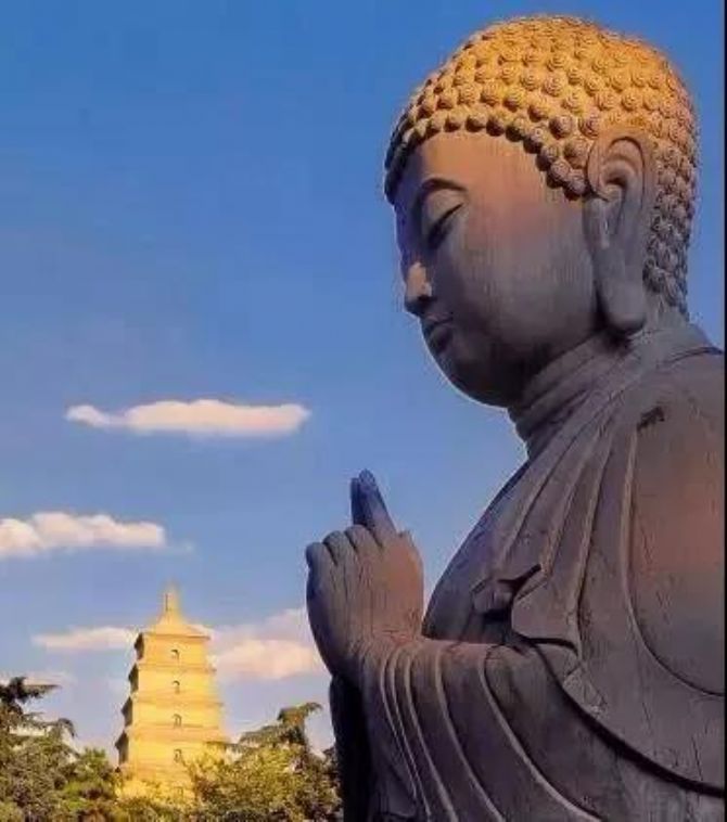 ����վ������徻�ĵ�����