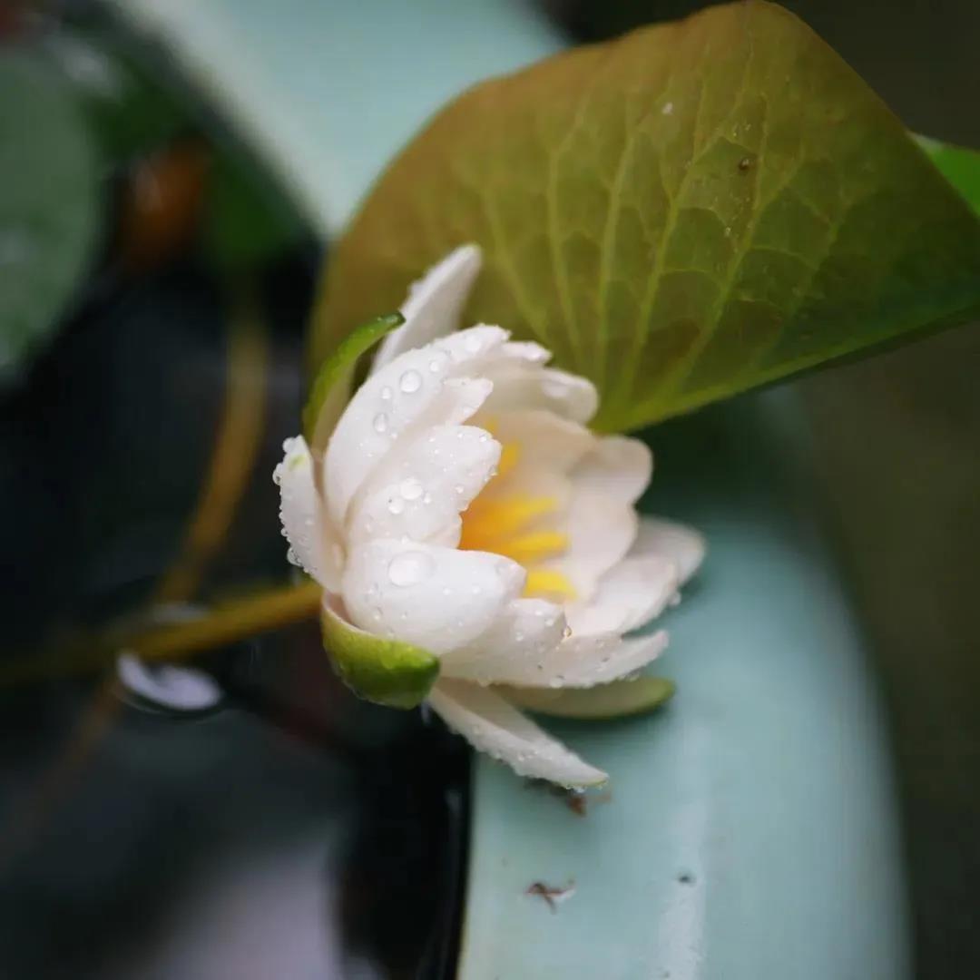 ��������ؾ���������ʮ���ϰ�һɨ���⣡