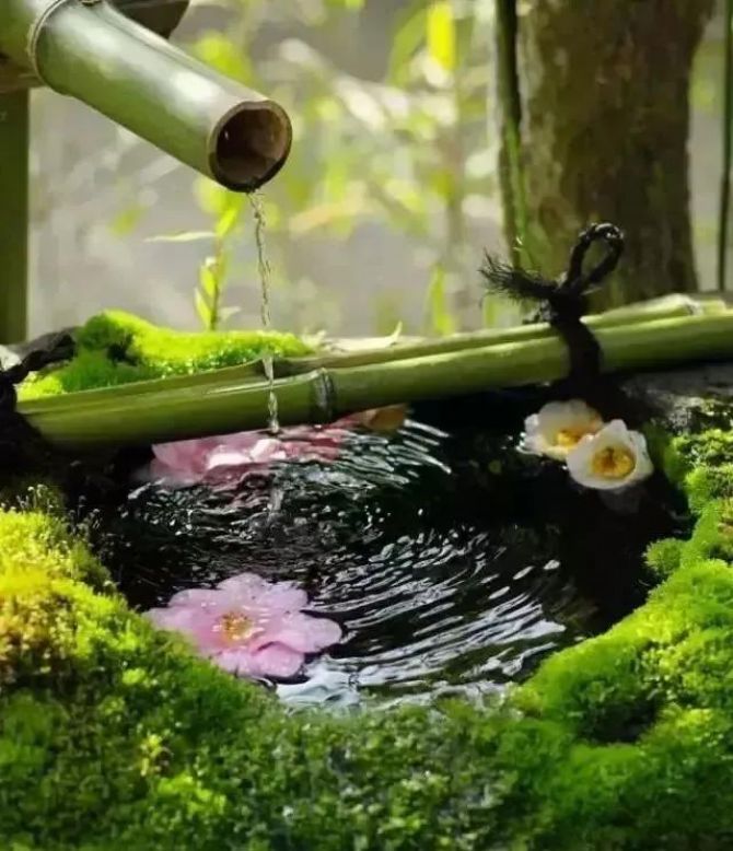 ��������ؾ���������ʮ���ϰ�һɨ���⣡