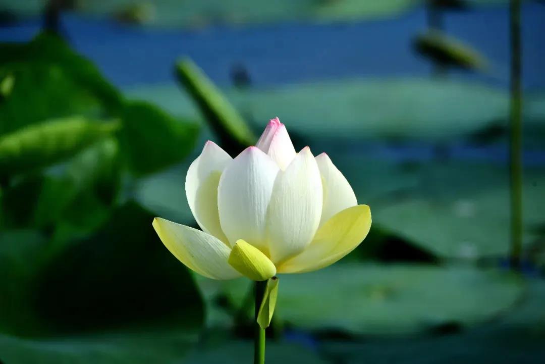 ����������֪��֪���˶��٣������ط��·����˶��٣�