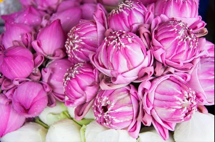 佛弟子居家修行的一天,你能做到几条? 佛弟子居家修行的一天,你能做到几条?