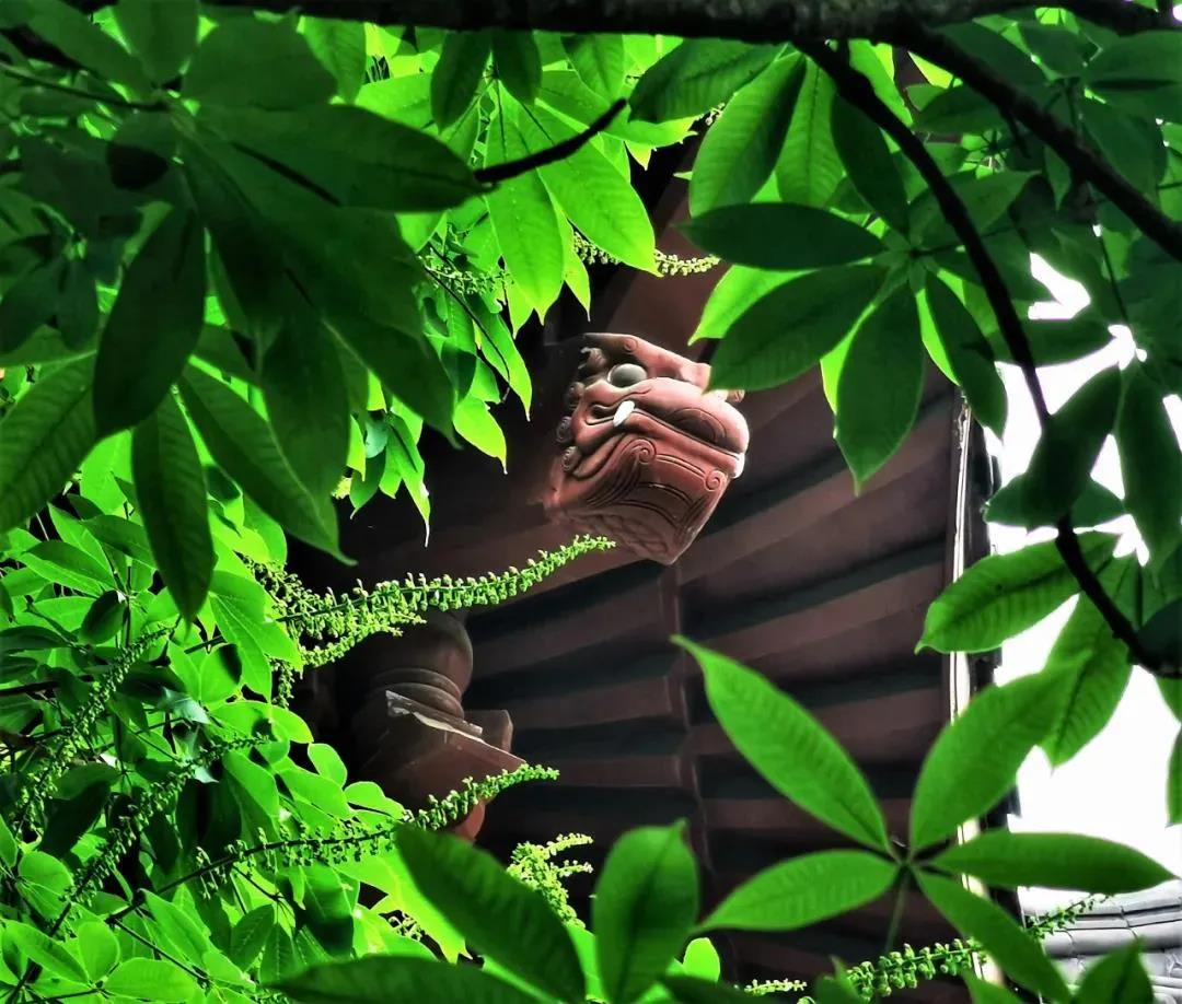 �������������_����_�������������