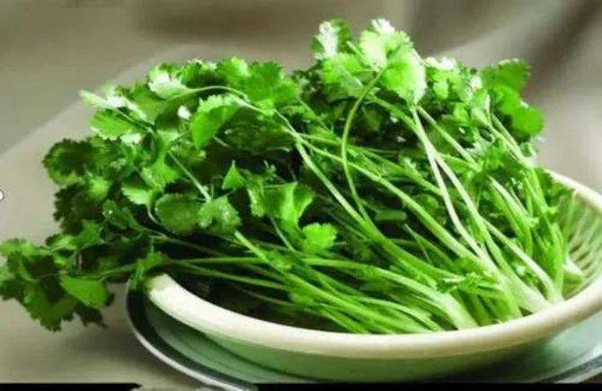 ���ͽ�����ܲ��ܳԡ���ˡ���