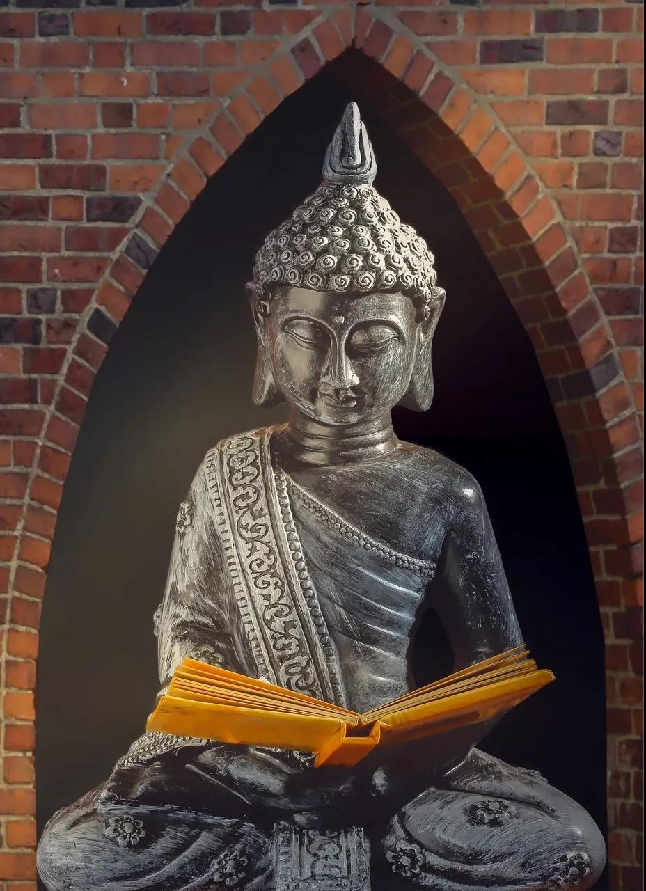 ������ʮ�������ľ���������ֻ���������ܴ��������