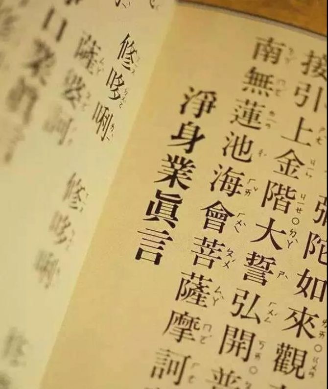 ������ʮ�������ľ���������ֻ���������ܴ��������