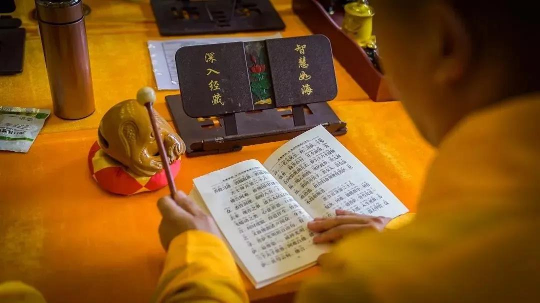 �����Լ��ķ�ţ��Ĳ���רע�ž�