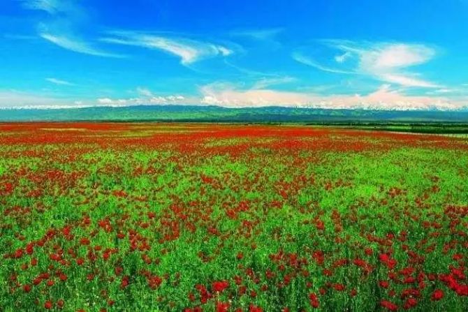 ����������˻���������ô���ģ���̸�ɮ����ô˵