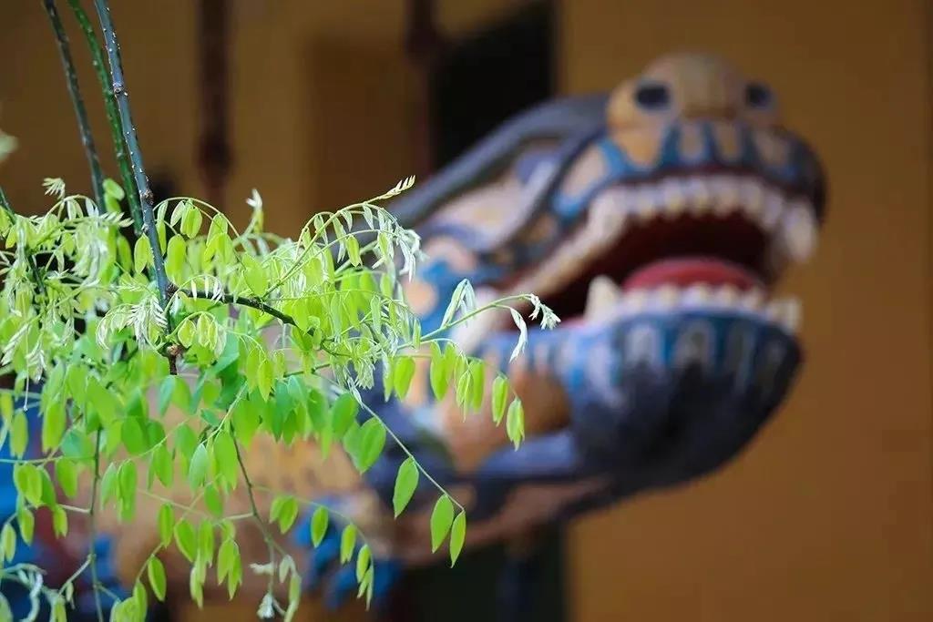 ����������ں��������������ܶ�