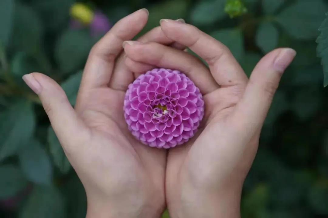 ����������ں��������������ܶ�