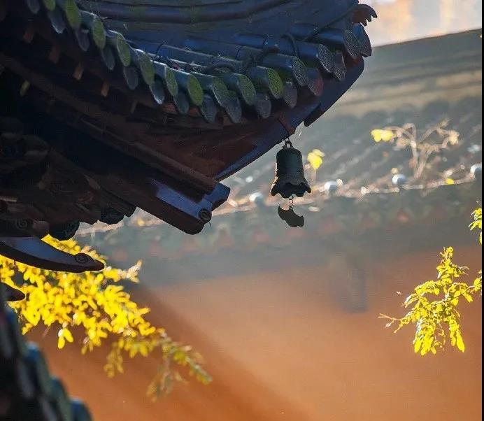 ����������ں��������������ܶ�