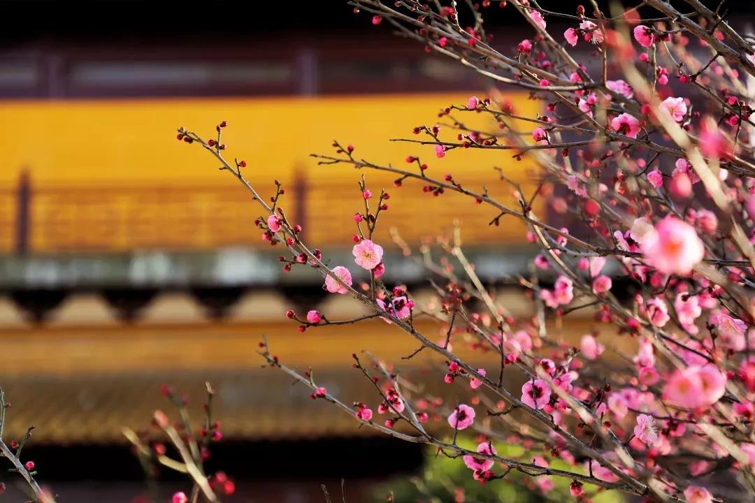 5������ҵ�ϵ���Ч�����������Լ����������㣿