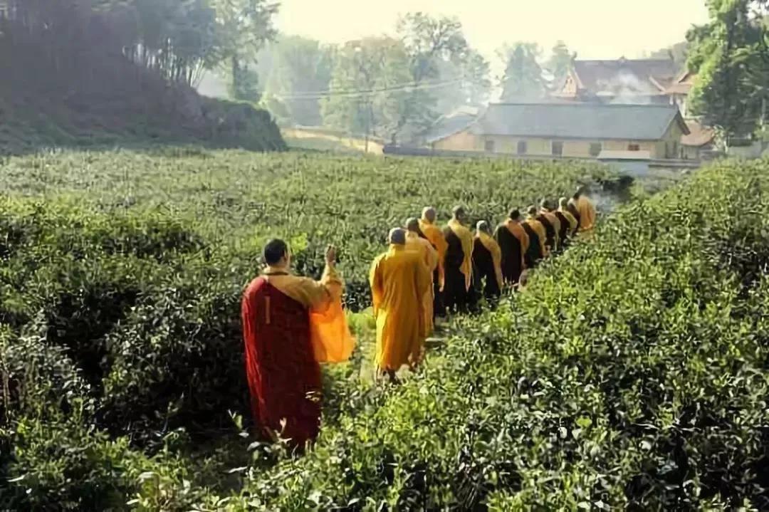 修了那么久,你贪嗔痴的情绪多久能平息? 修了那么久,你贪嗔痴的情绪多久能平息?