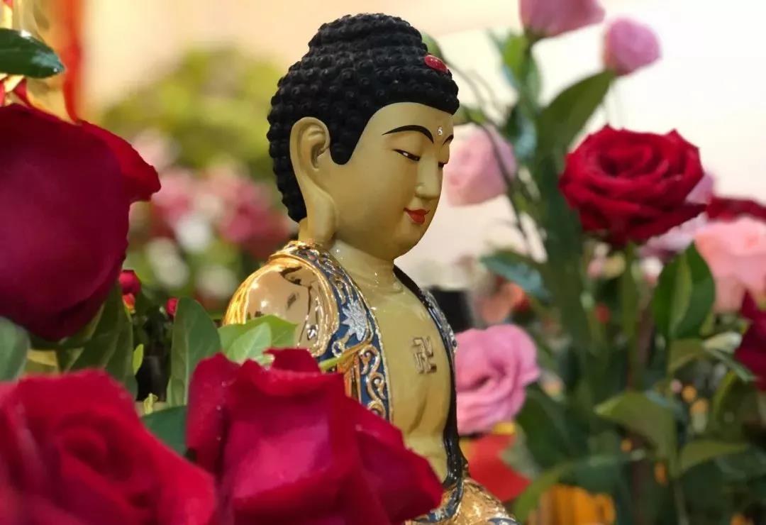 ѧ���벻ѧ��Ĳ�������