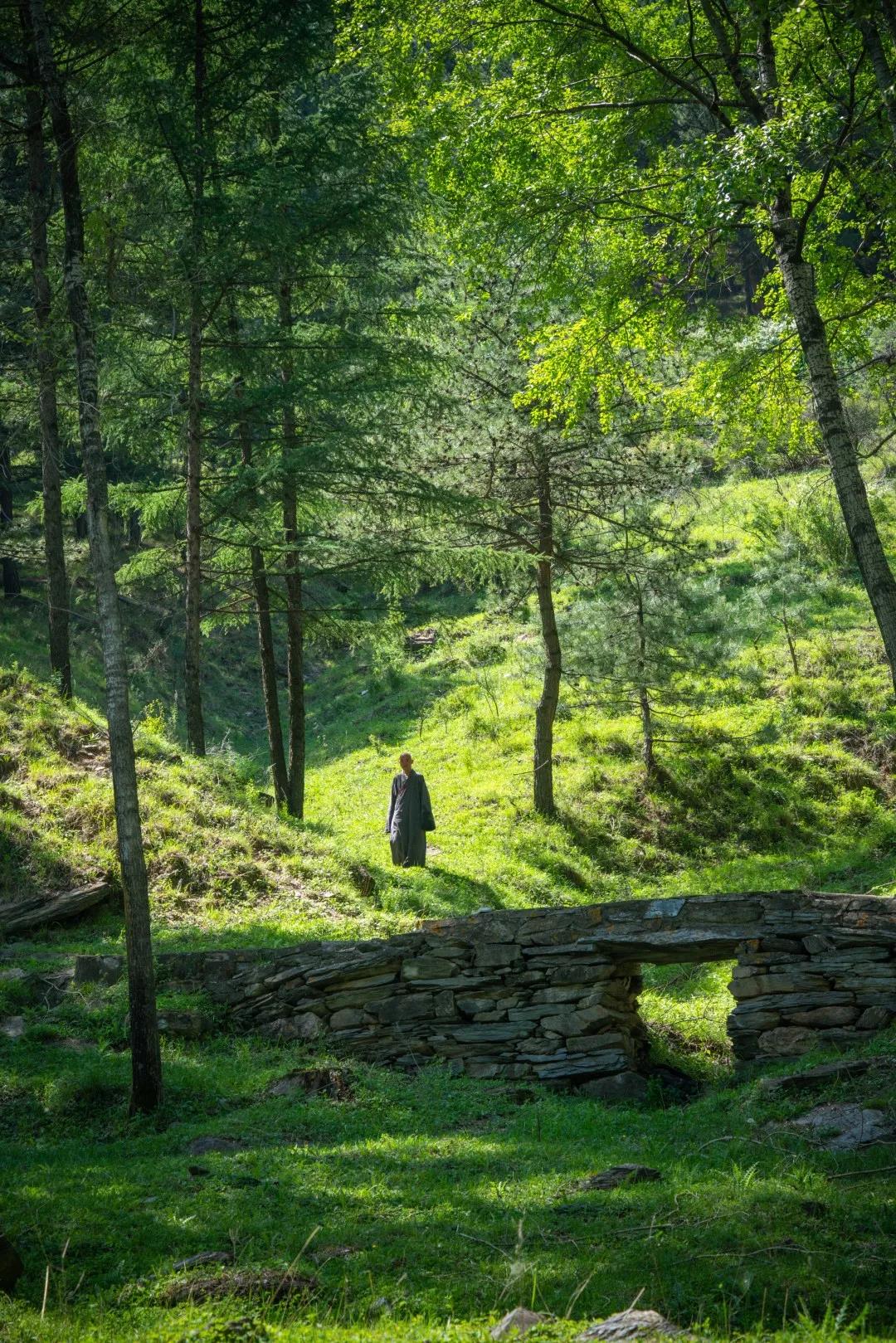 ���𷨲������䷨���𷨲��������������仰�㽲����ô��