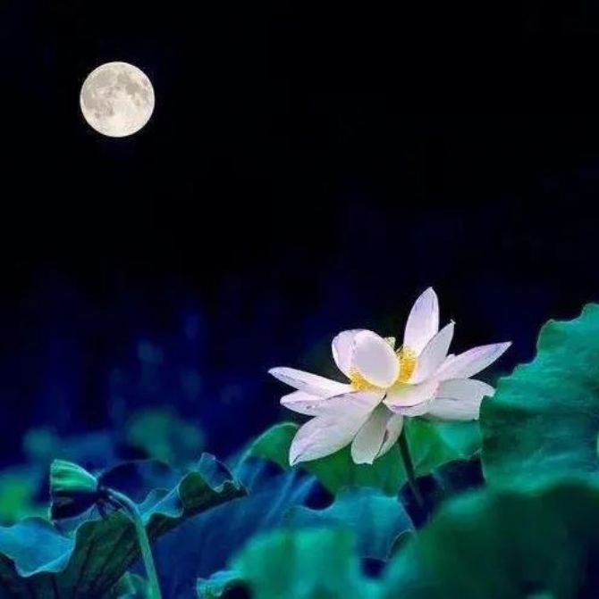 �޾������ˣ���Ҫ�޵���������һ��