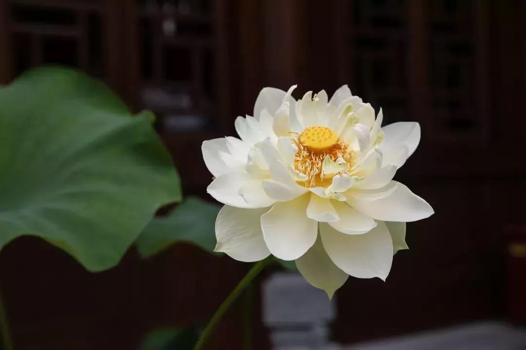 �������������ڿ���һ�����������������