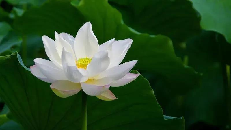 �������������ڿ���һ�����������������