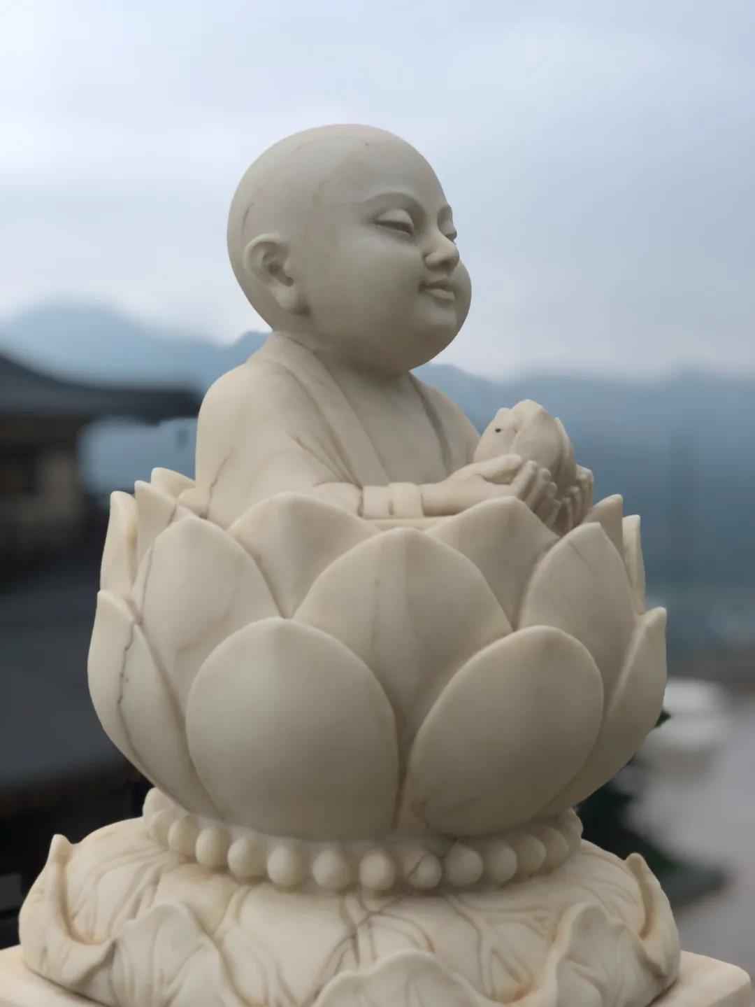 ���Ҷ������������������˾������ģ����������¹��ڼ���ͥ�չ���ʮ��