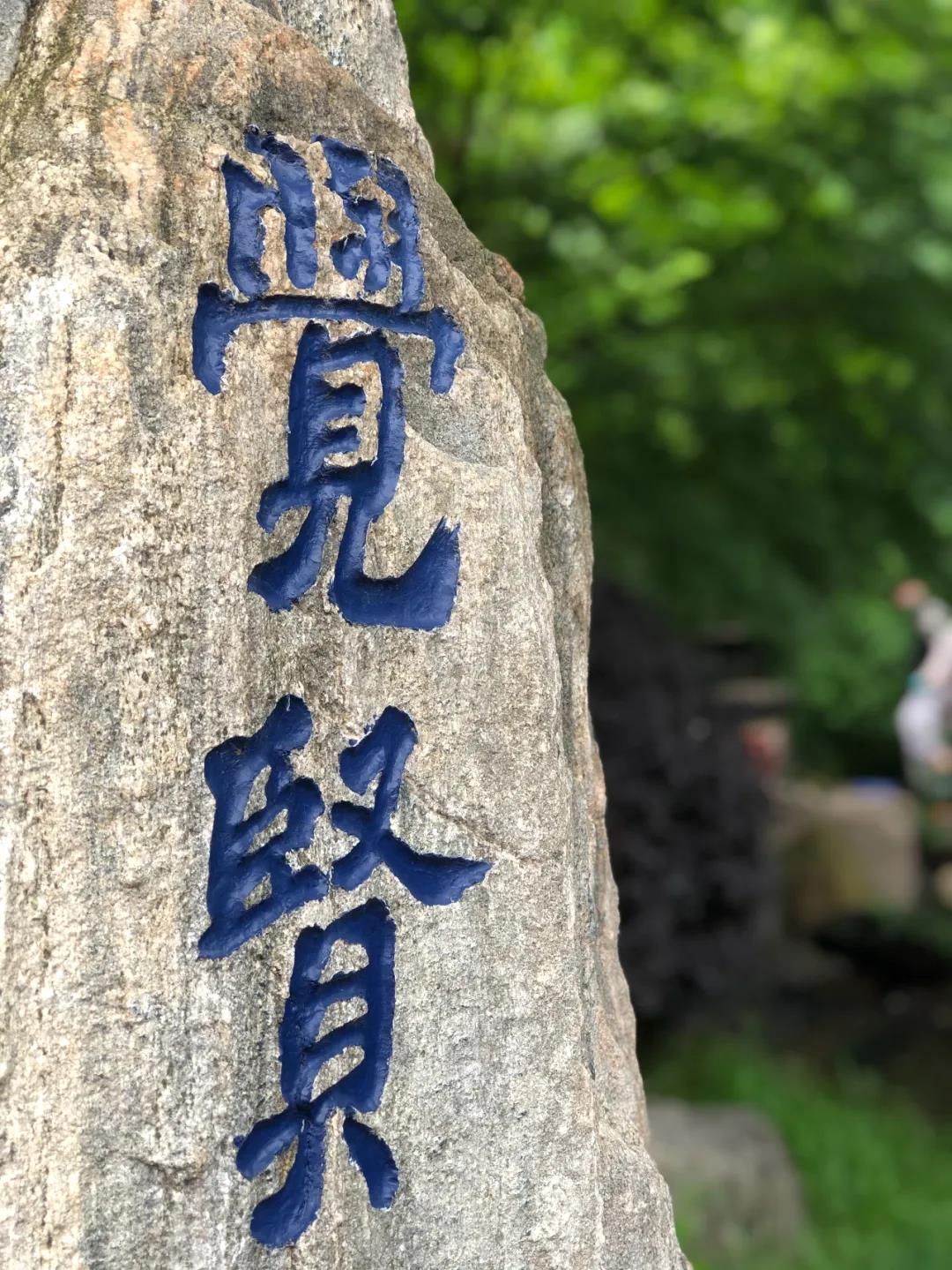 ���Ҷ������������������˾������ģ����������¹��ڼ���ͥ�չ���ʮ��