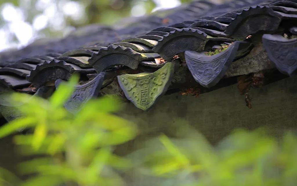 ����ƶ�����٣����������ƣ��������ҵ���