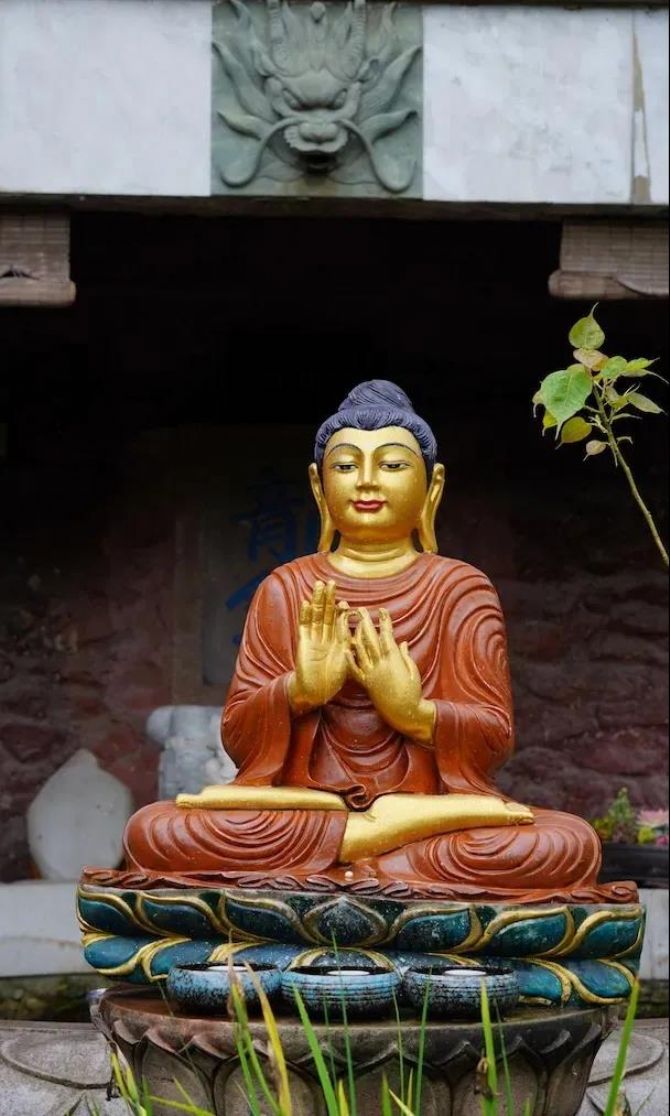 ʲô�������̳��õ���������Щ��