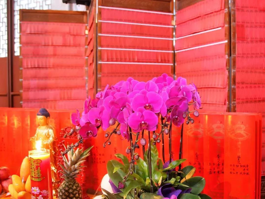 ��û����������ǿҲ���кõĹ���