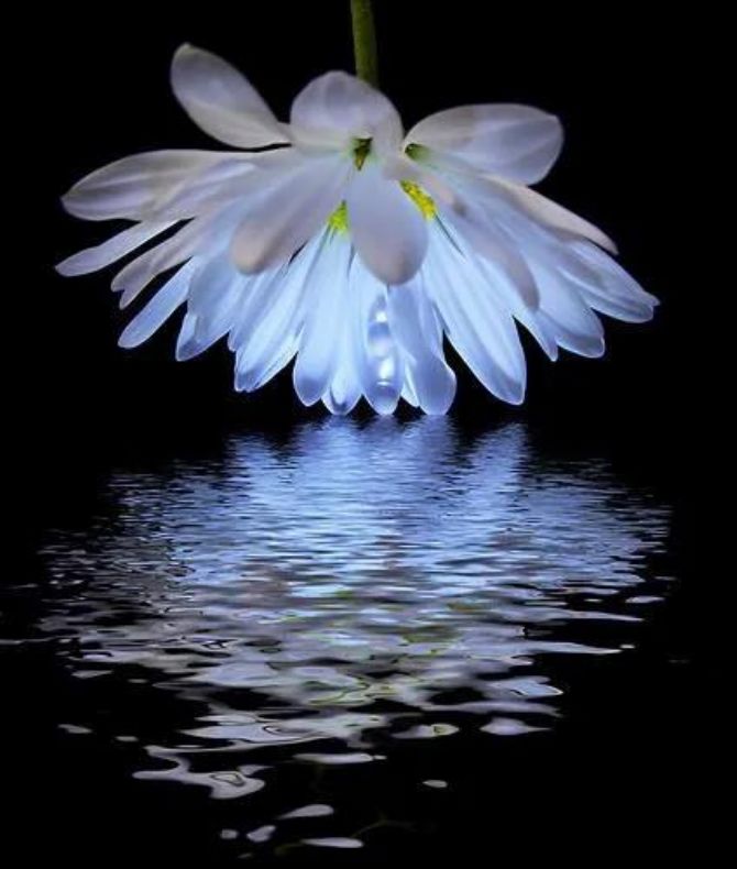 ���տ�ʾ�ļ��ɣ�����������