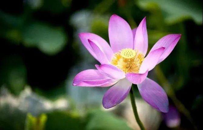 为什么诵经拜佛能改变命运? 为什么诵经拜佛能改变命运?