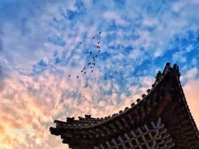 不修行,你来人间干嘛,做卧底吗? 不修行,你来人间干嘛,做卧底吗?