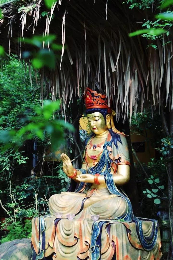 �����Ӧ����Ը��������������Ϊ����ô���顱��