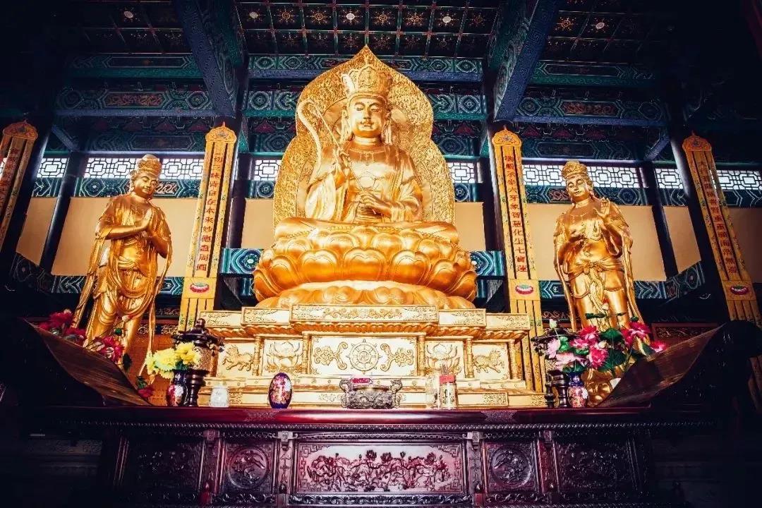 ������ȡ�����ġ�����֮���������ܳ�����̫�и�����