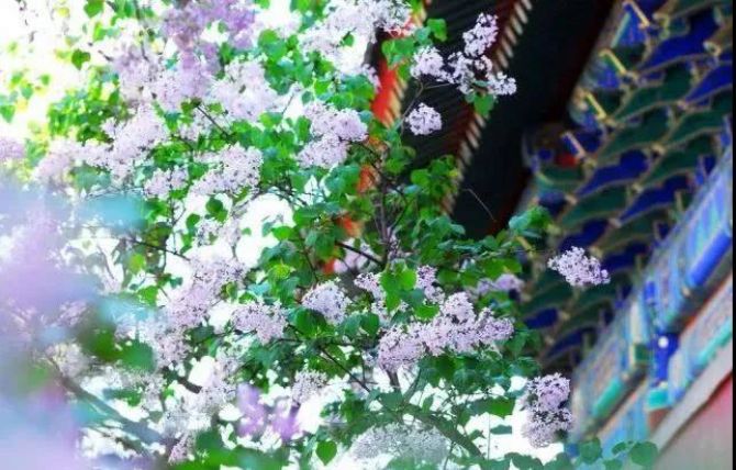 ����ʶ���ģ��Ͳ���Զ��������������