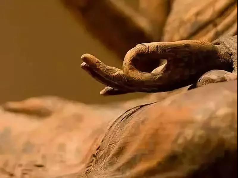 �廪��ѧ��ʿ��������������ȥ�˽�����һ�����£�